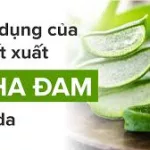 Nha đam là gì? Những công dụng của nha đam trong làm đẹp - Mẹo Hay